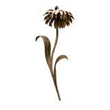 Gilt Metal Flower Sconce 1