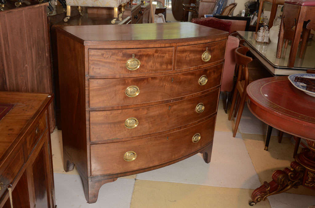 English Mahogany Bow Front Chest Of Drawers