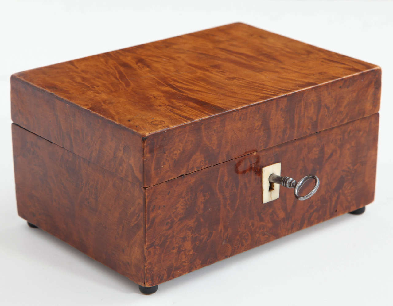 Neoclassical Swedish Root Wood Box