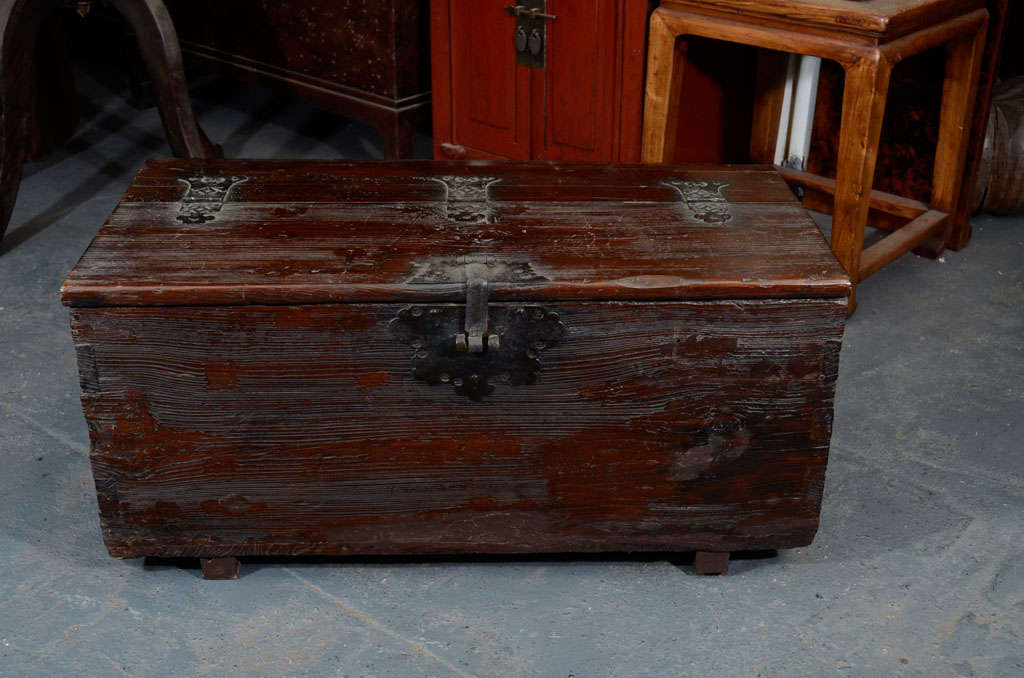 Korean Elmwood Coin Chest For Sale