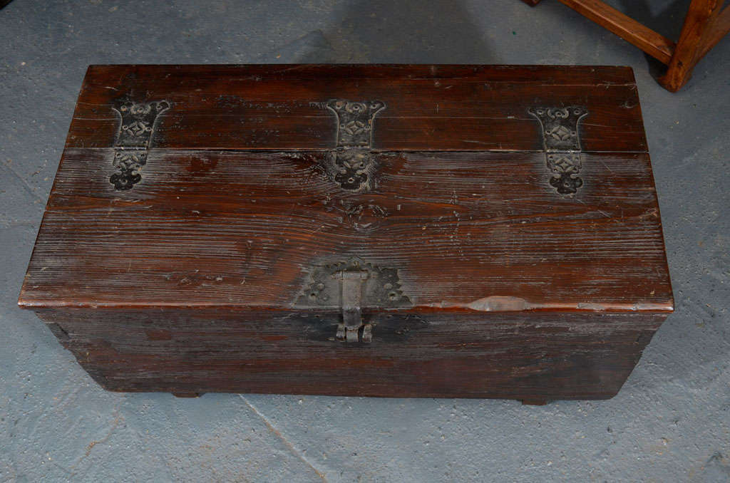 Elmwood Coin Chest For Sale 2