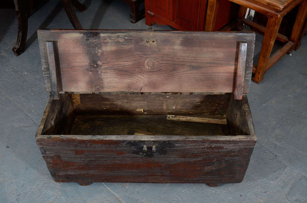 Elmwood Coin Chest For Sale 3