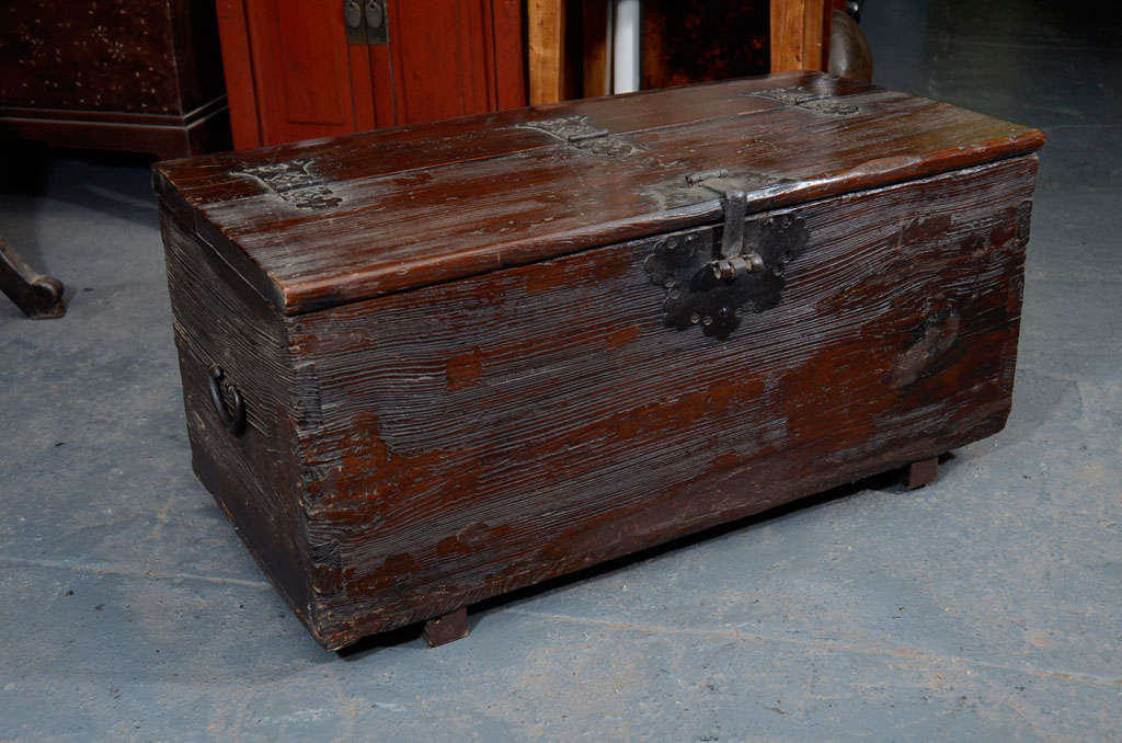 Elmwood Coin Chest For Sale 7
