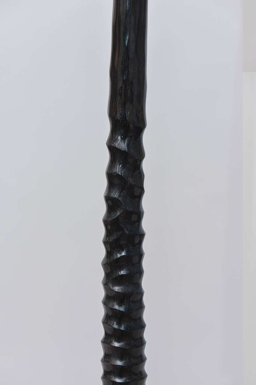 Modern Gemsbok Horns on Acrylic Stand For Sale