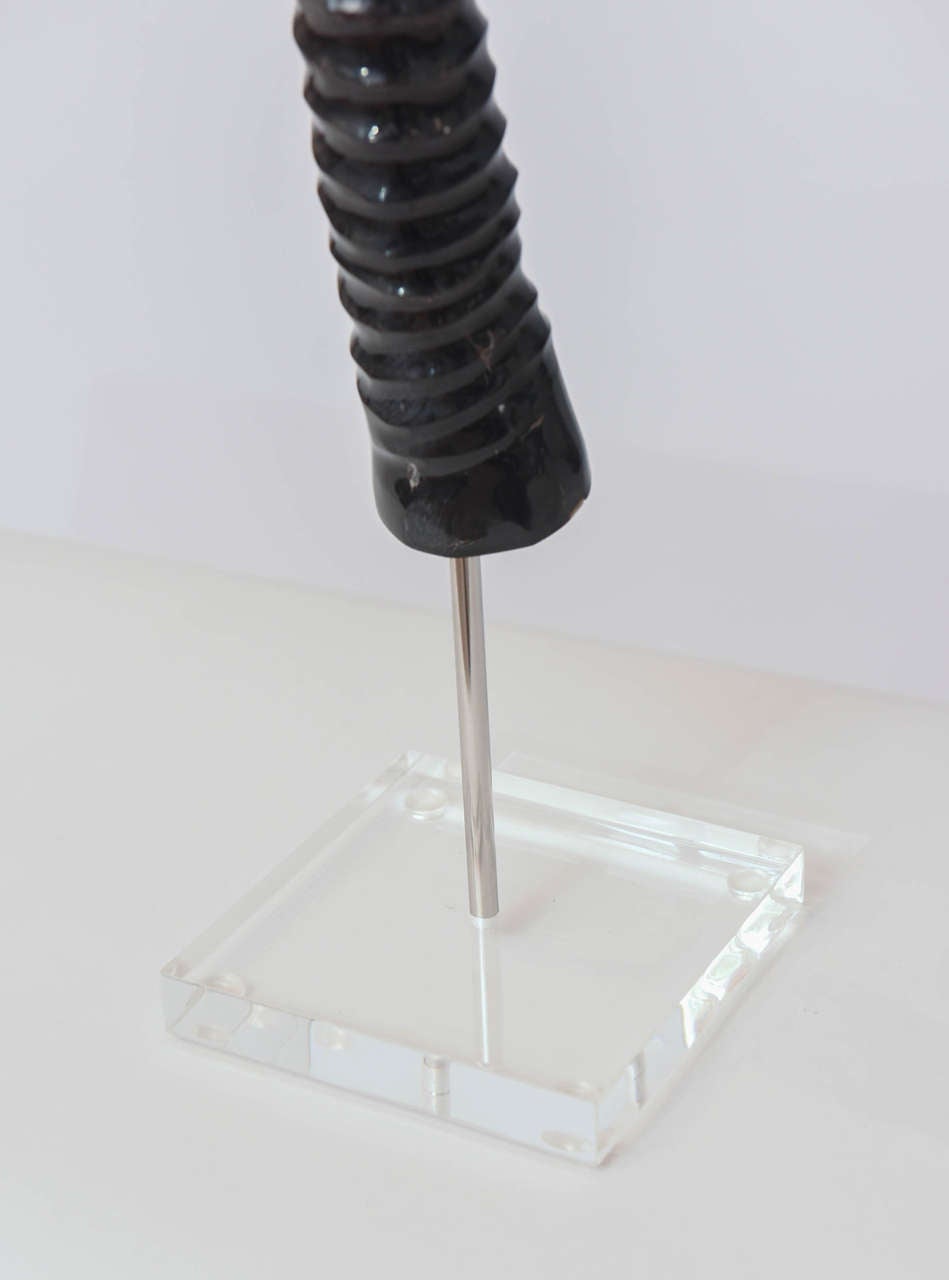 Gemsbok Horns on Acrylic Stand In Excellent Condition For Sale In New York, NY