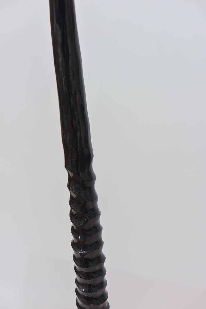 Gemsbok Horns on Acrylic Stand For Sale 2