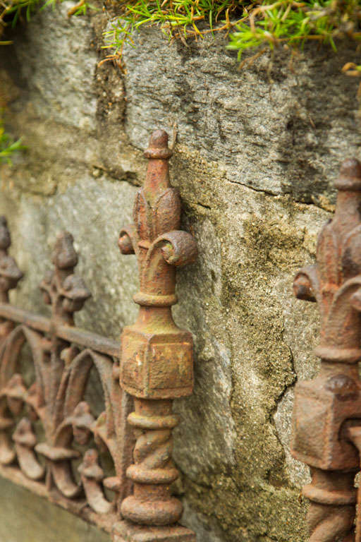 19th C Cast Iron Garden Edging 3