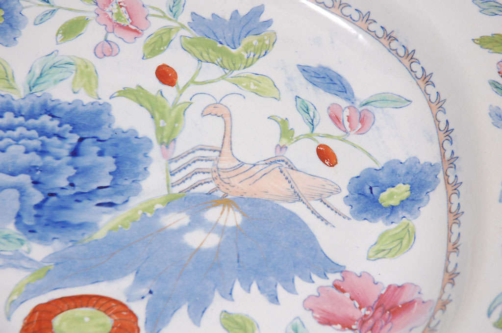 19th Century A Large English Ironstone Platter with Praying Mantis