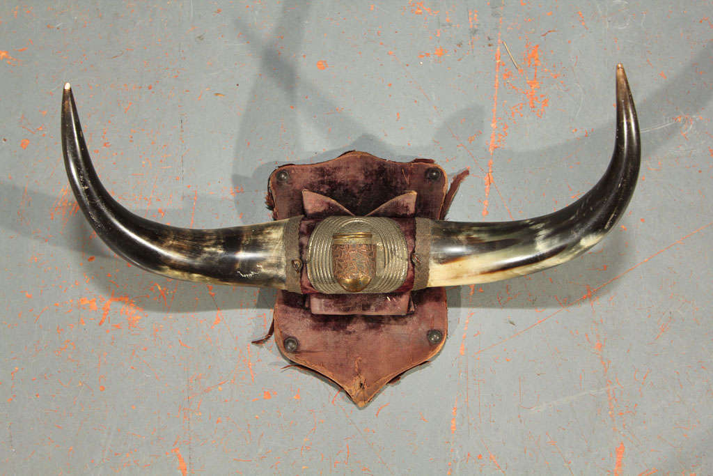 horn rack with worn velvet covered shield