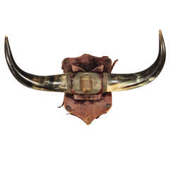 Antique horn rack with worn velvet covered shield