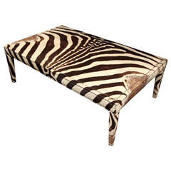 zebra and nailhead cocktail/coffee table