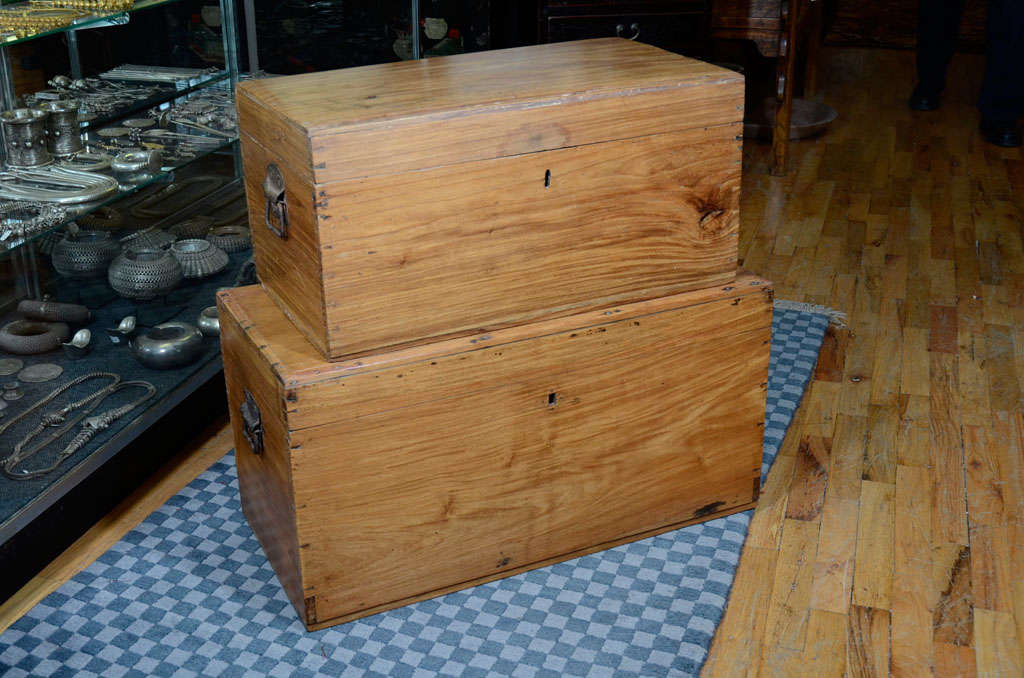 Mahogany Travelling Trunks