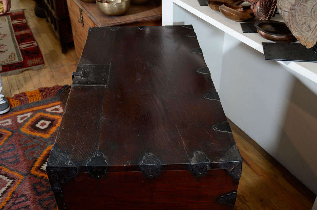 Blanket Chest w/ Iron Fittings For Sale 2
