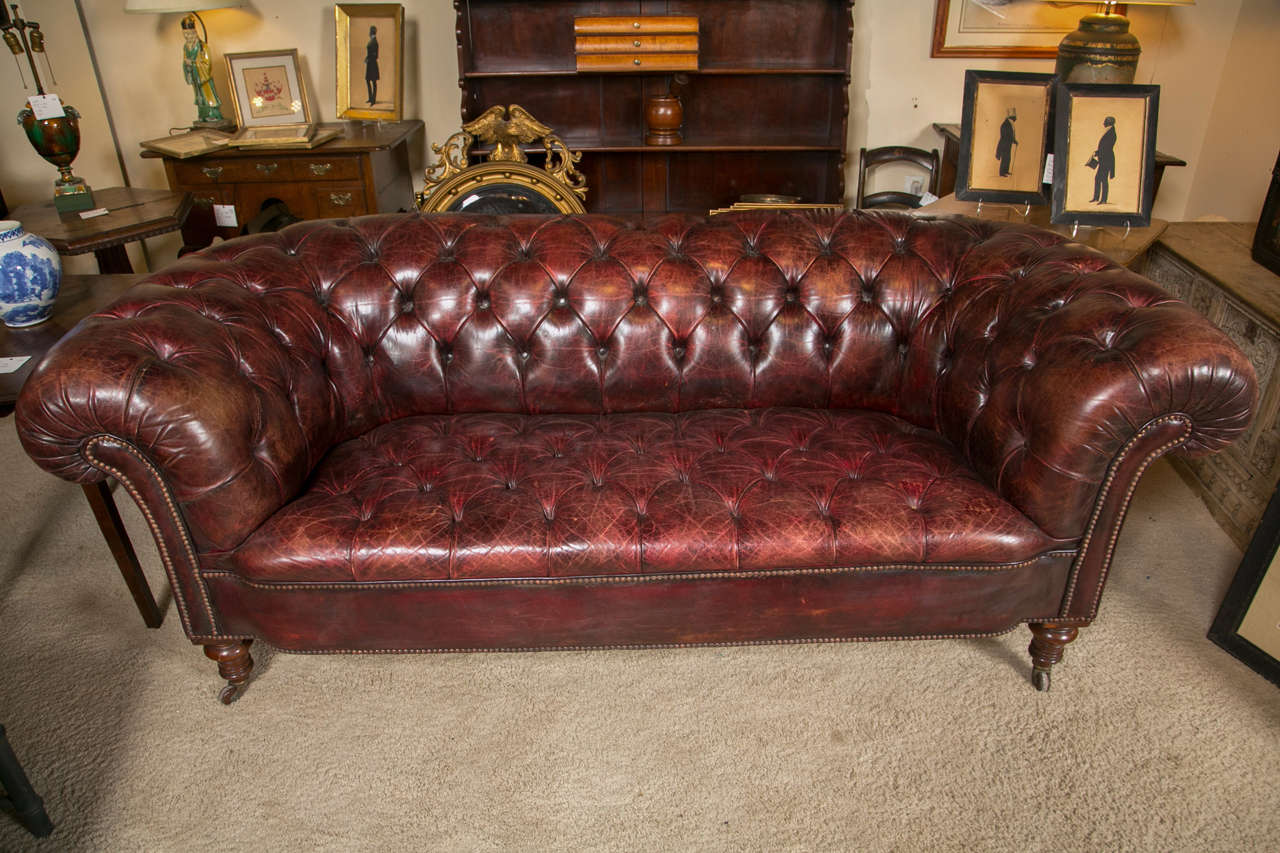 20th Century English Tufted Leather Sofa, circa 1900 For Sale