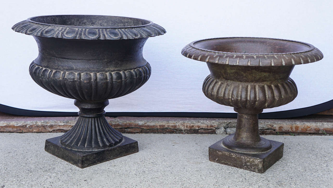 Beautiful cast iron planters for indoor or outdoor. Original patina.

Small: $550 Size: 18 inches diameter x 16 inches height

Large: $650 Size: 20 inches diameter x 18 inches height.