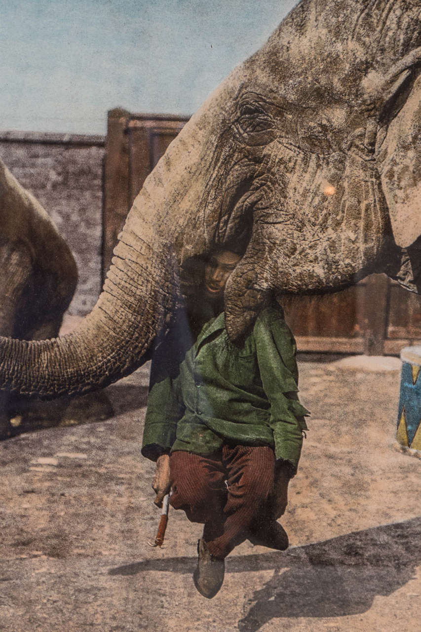 Indian Tinted Photographic Print of Elephant Trainer and his Elephant For Sale