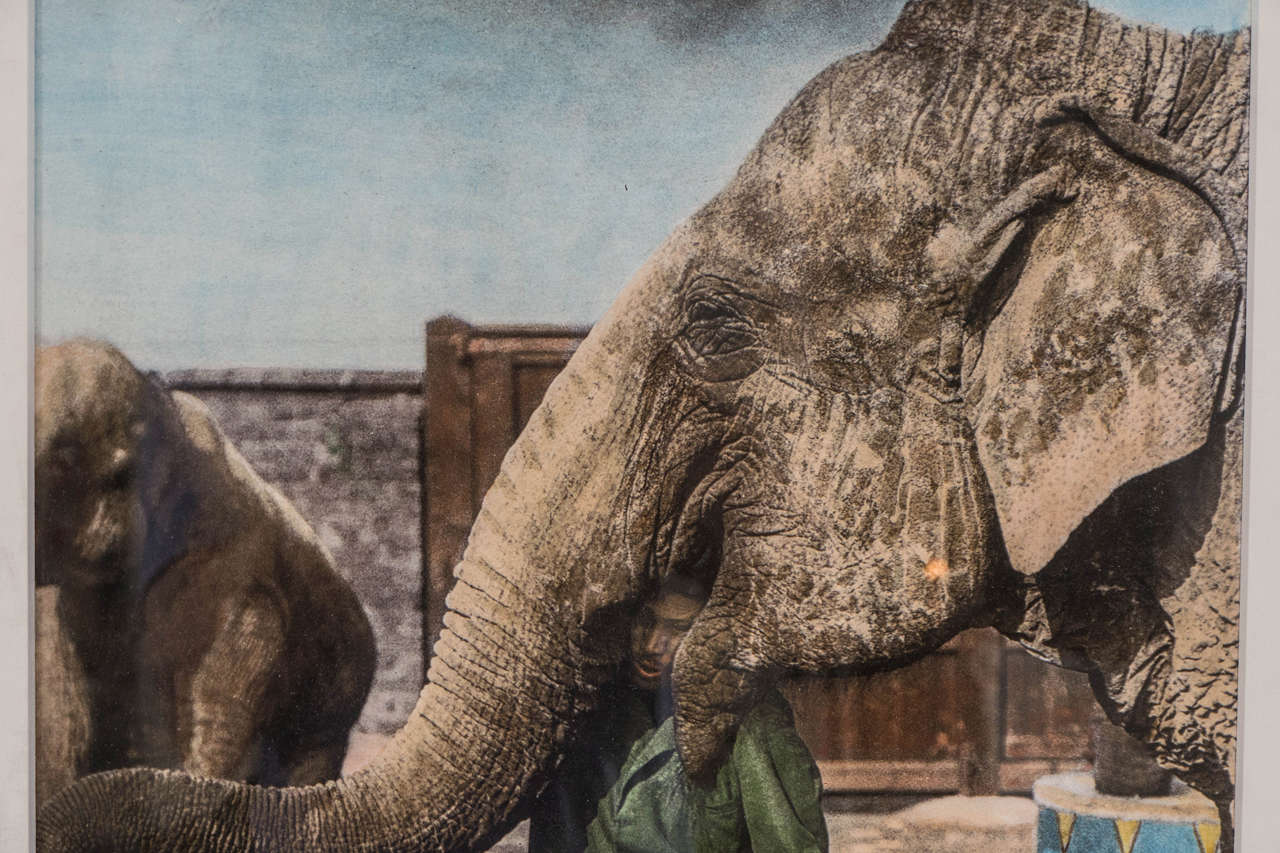 20th Century Tinted Photographic Print of Elephant Trainer and his Elephant For Sale