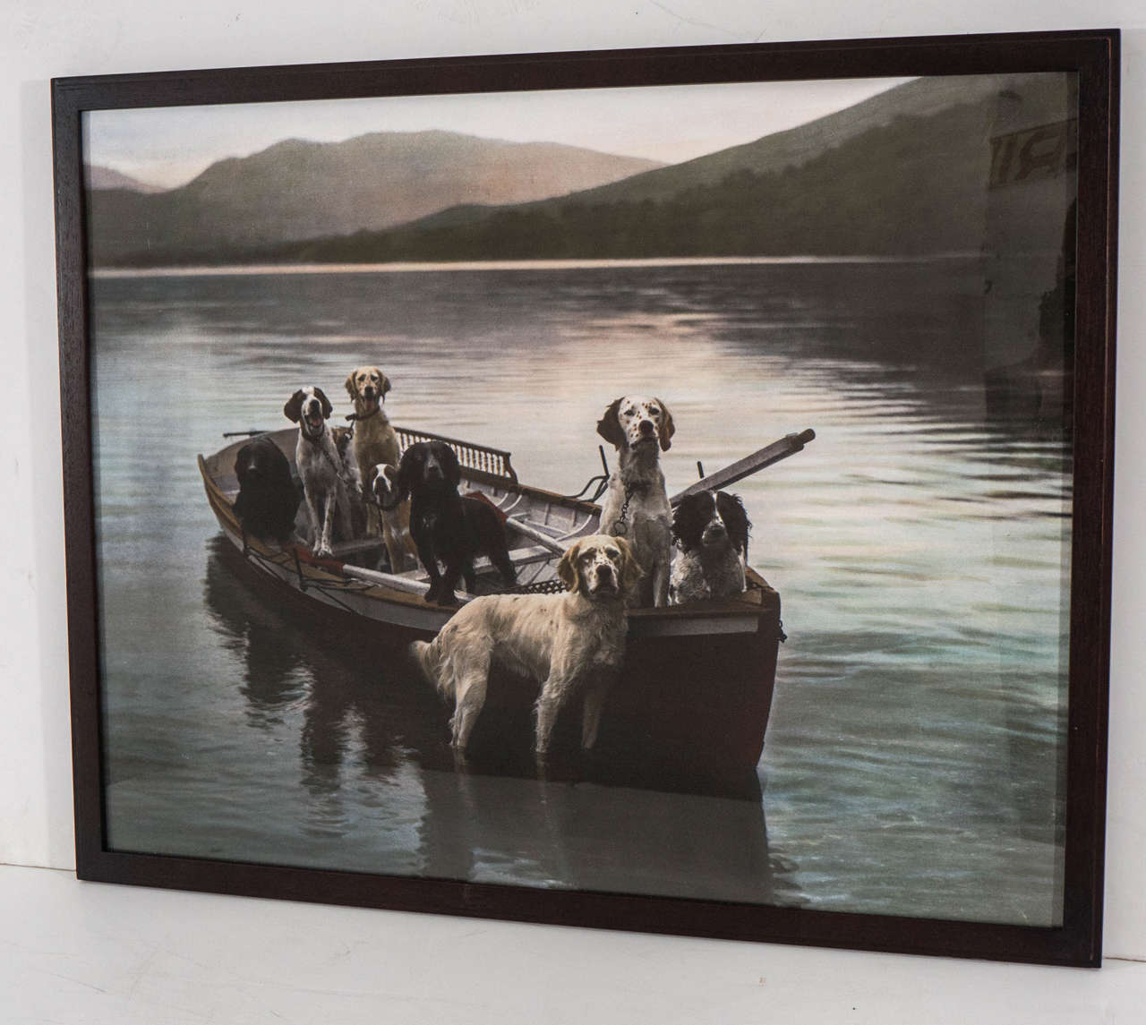 Hand Colored Photograph of Dogs in a Boat framed