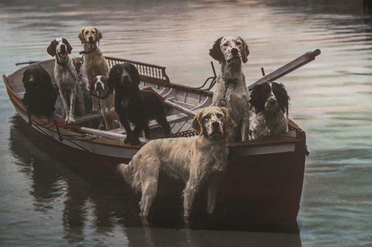 Hand-Painted Dogs in a Boat Hand-Colored Photograph