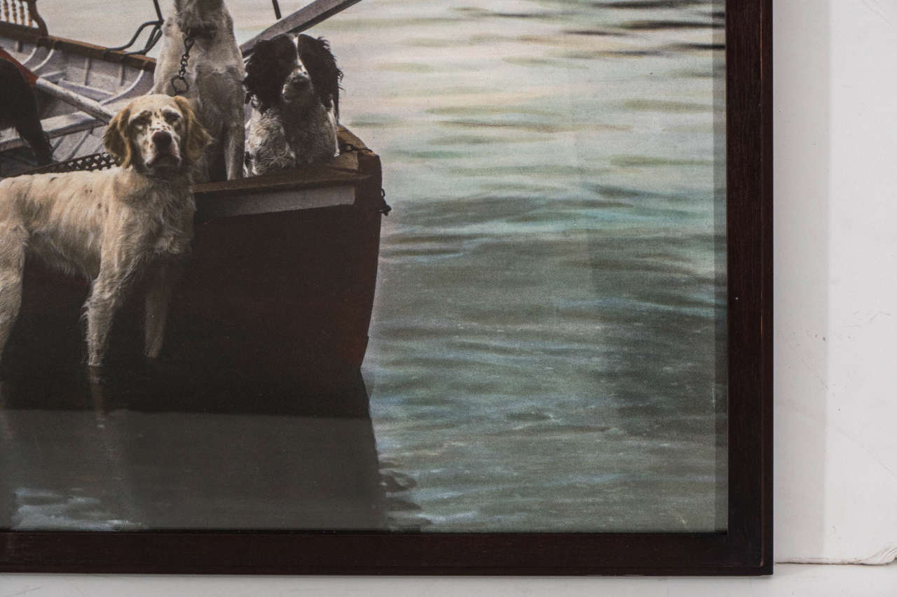 Dogs in a Boat Hand-Colored Photograph In Good Condition In New York, NY