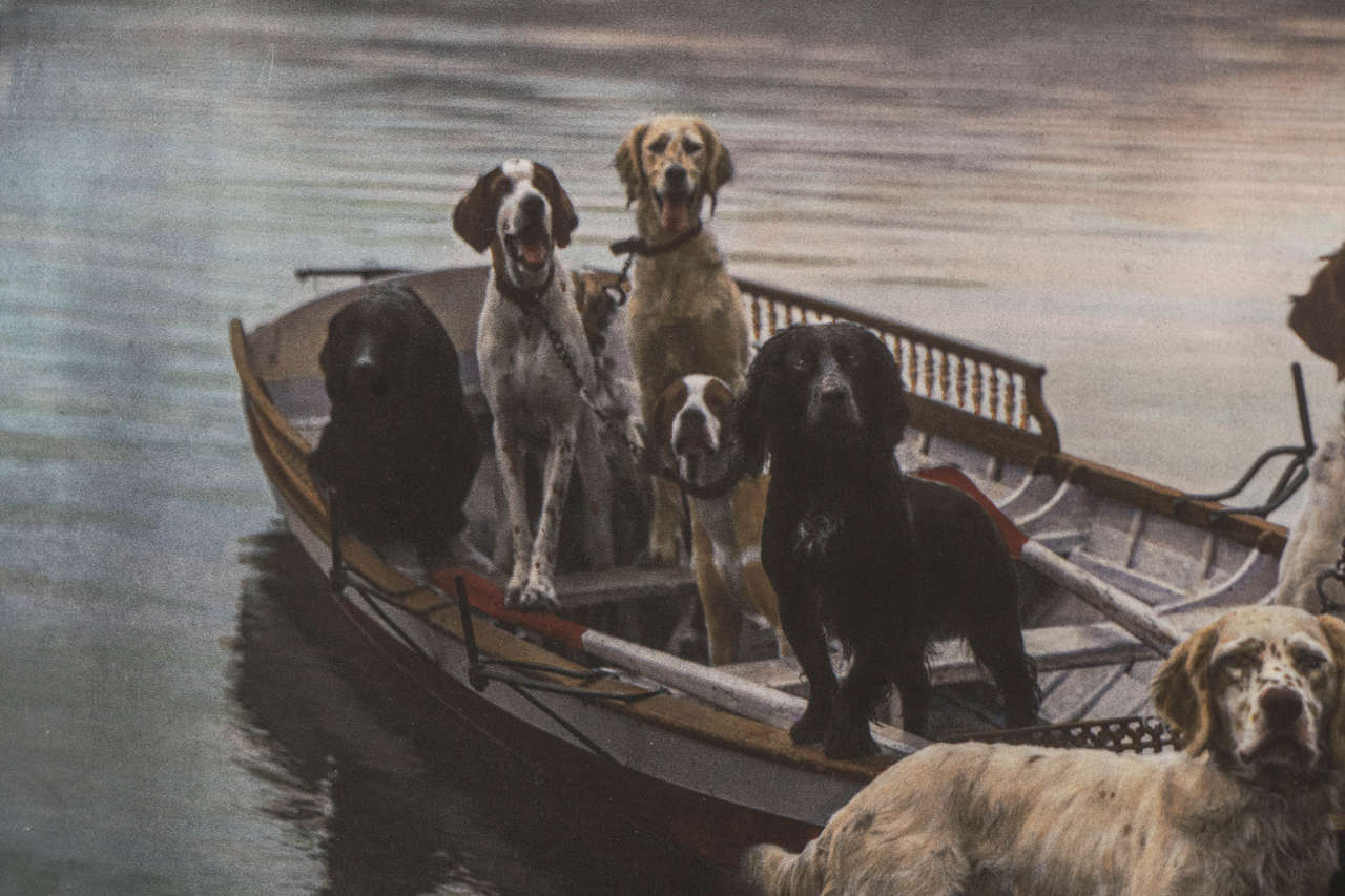 Dogs in a Boat Hand-Colored Photograph 1