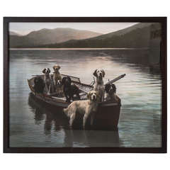 Dogs in a Boat Hand-Colored Photograph