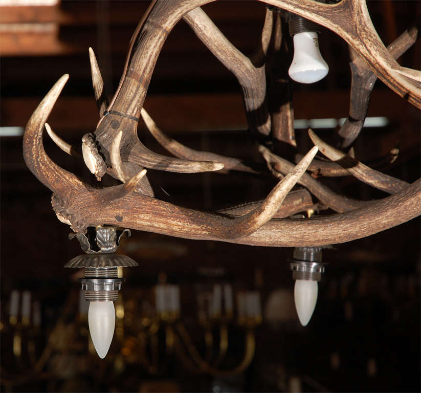 German Antique Deer Horn Four Light Chandelier