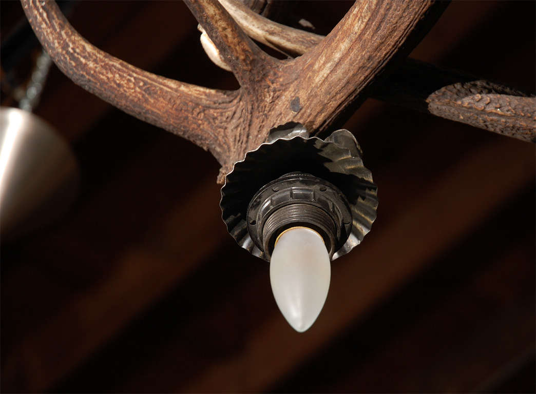 20th Century Antique Deer Horn Four Light Chandelier