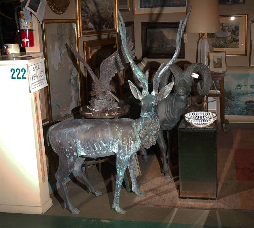 Offering a most impressive lifesize bronze stag. Has been in the elements for some years so is getting a terrific patina that only nature can do. For in or out.