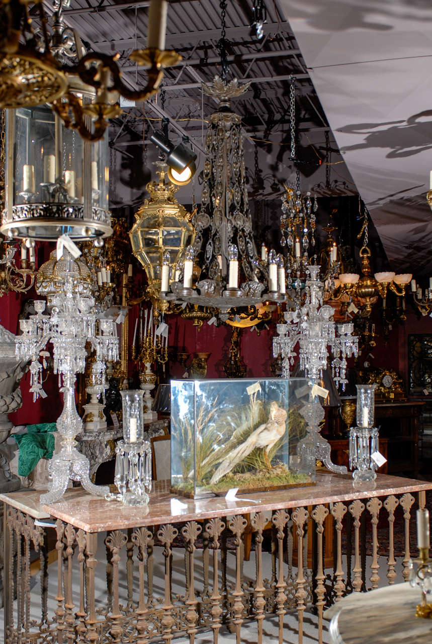 Beautiful and fine bronze chandelier, chased with putti and classical scenes. Note the ornate chains and underside. Incredible work! A true masterpiece. 