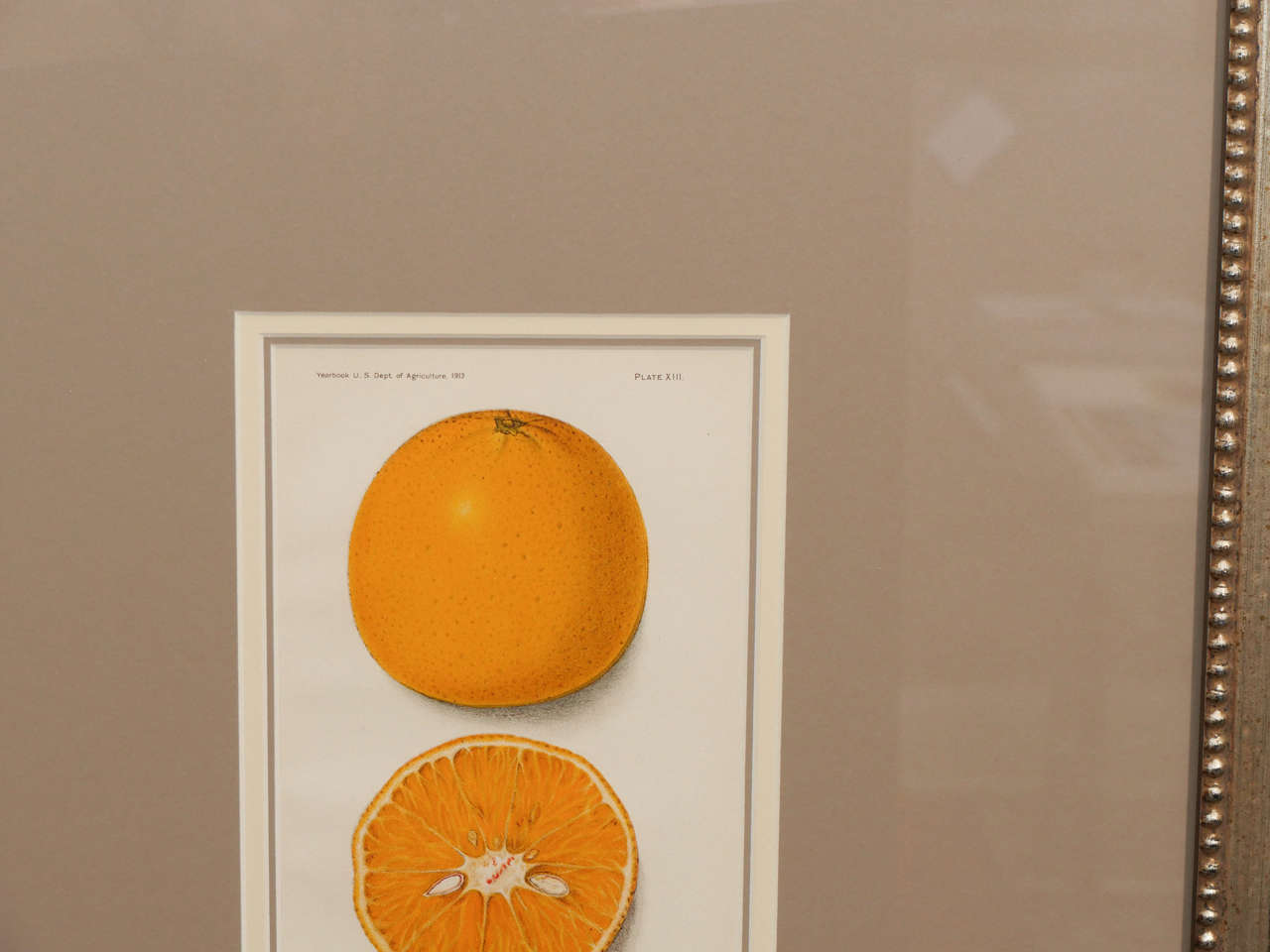 Architectural Digest Fruit Print 1