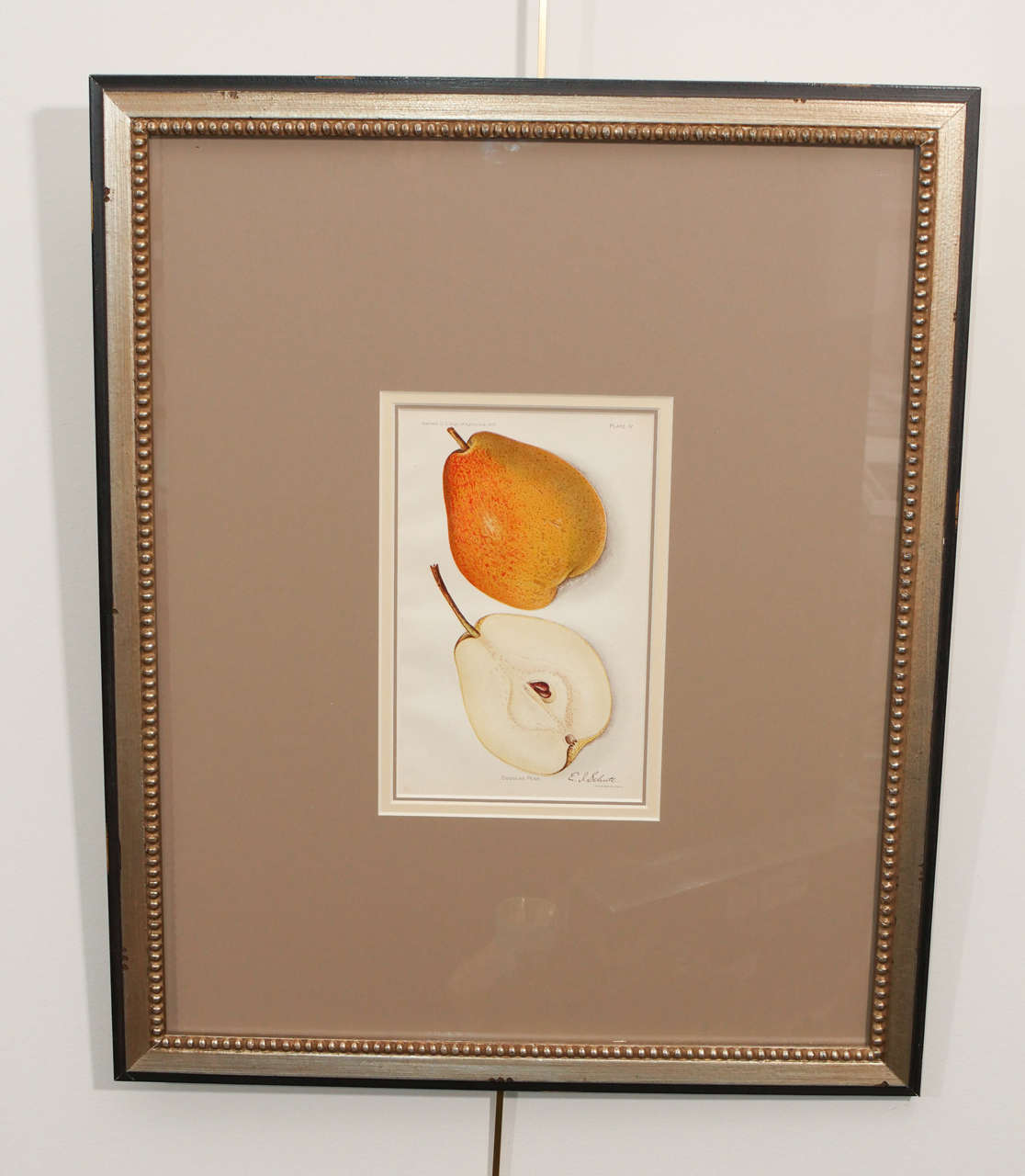 An architectural digest print of fruit, circa 1897-1914.