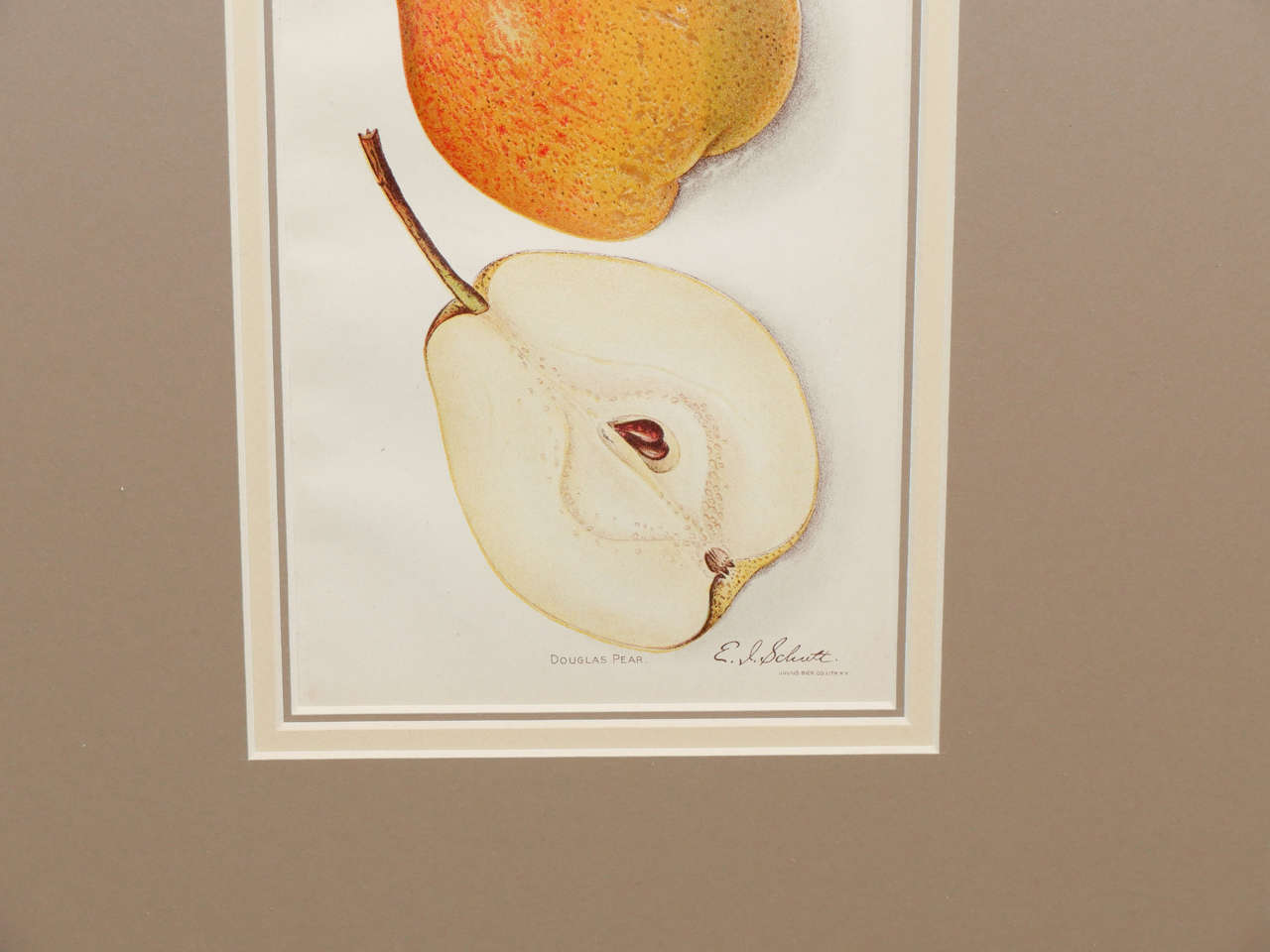 Architectural Digest Fruit Print 1