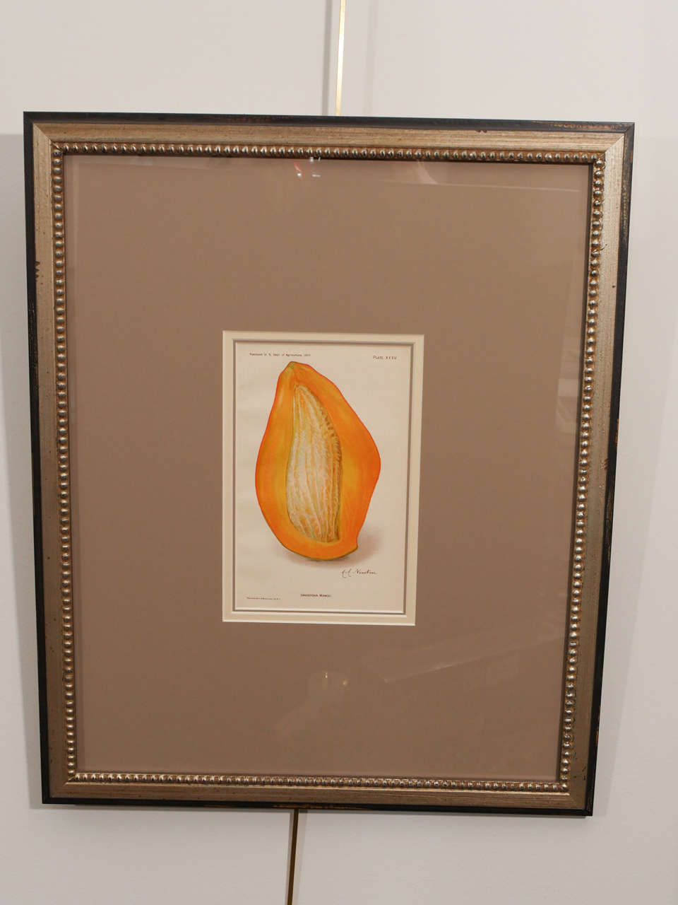 An architectural digest framed print of fruit, circa 1897-1914.