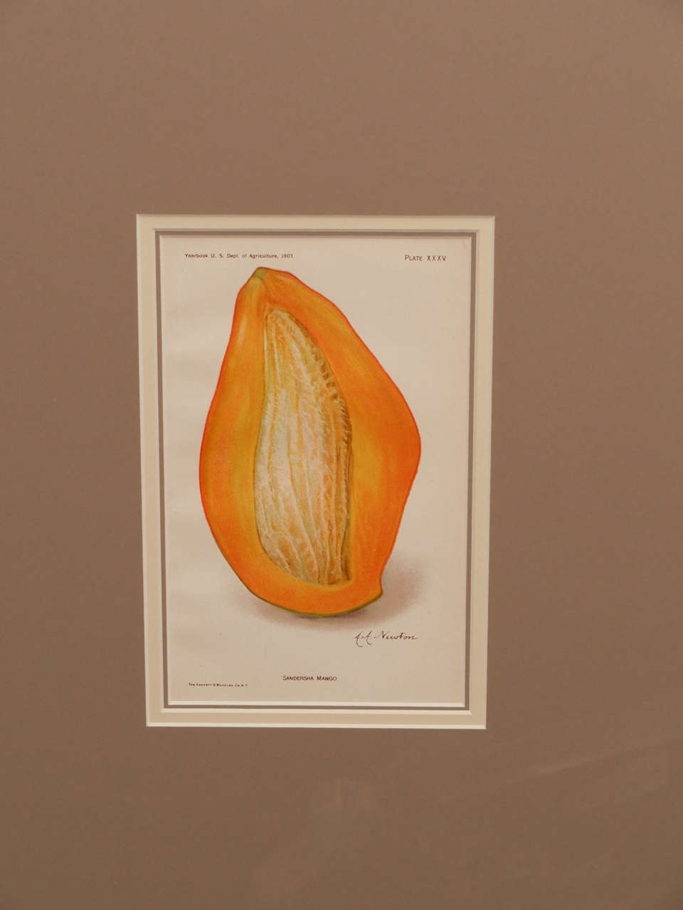 American Architectural Digest Fruit Print