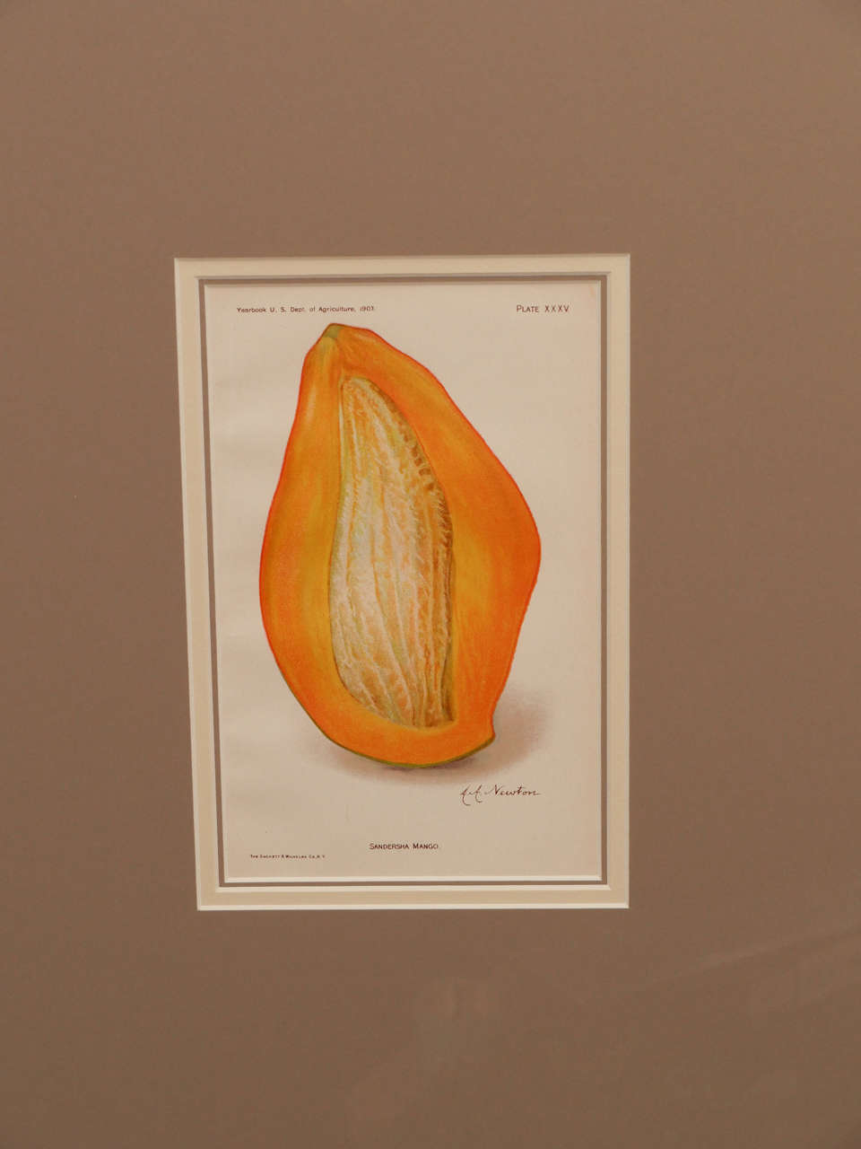 Architectural Digest Fruit Print In Excellent Condition In New York, NY