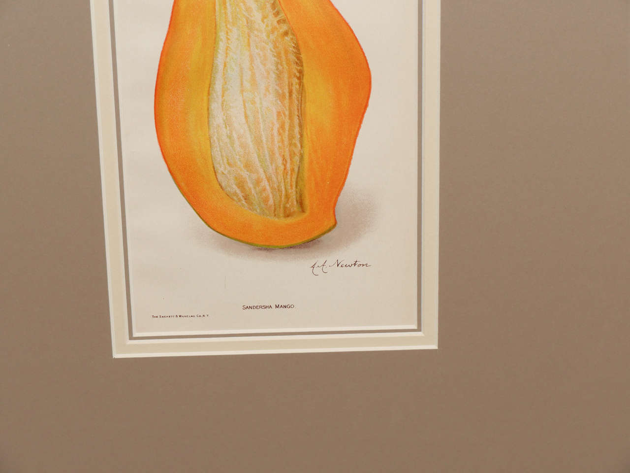 Architectural Digest Fruit Print 1