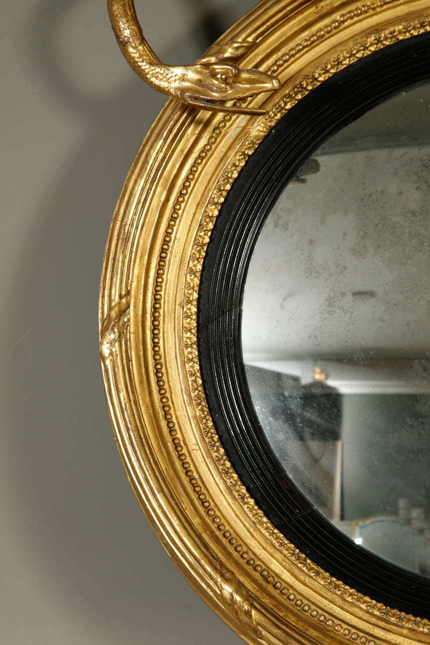 British Good Regency Carved Giltwood and Gesso Convex Wall Mirror