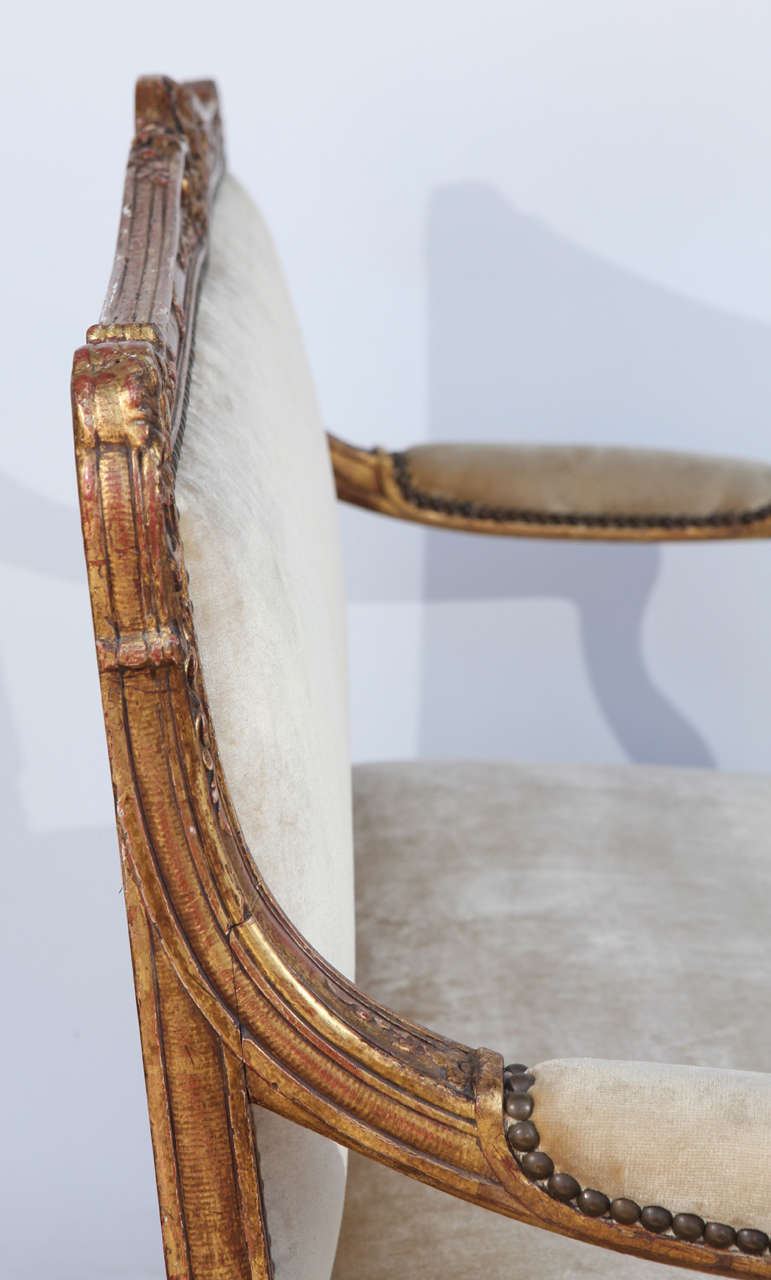 19th Century French Regency Giltwood Settee 2