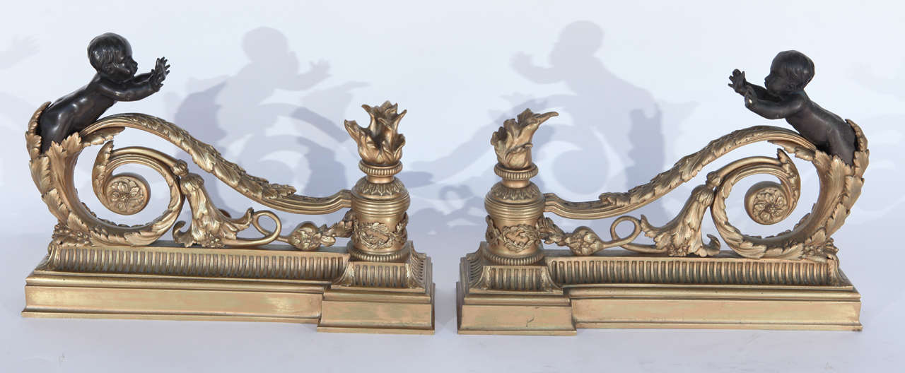 Pair of 19th Century French Bronze Chenets