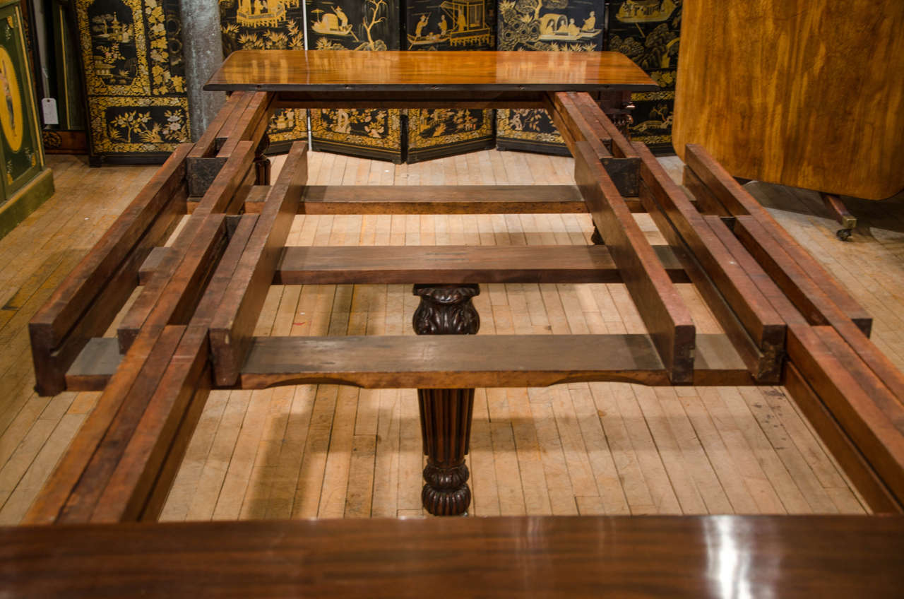 19th Century Mahogany Dining Table with Reeded Legs 2