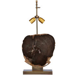 Nice Lamp with Petrified Wood by Willy Daro