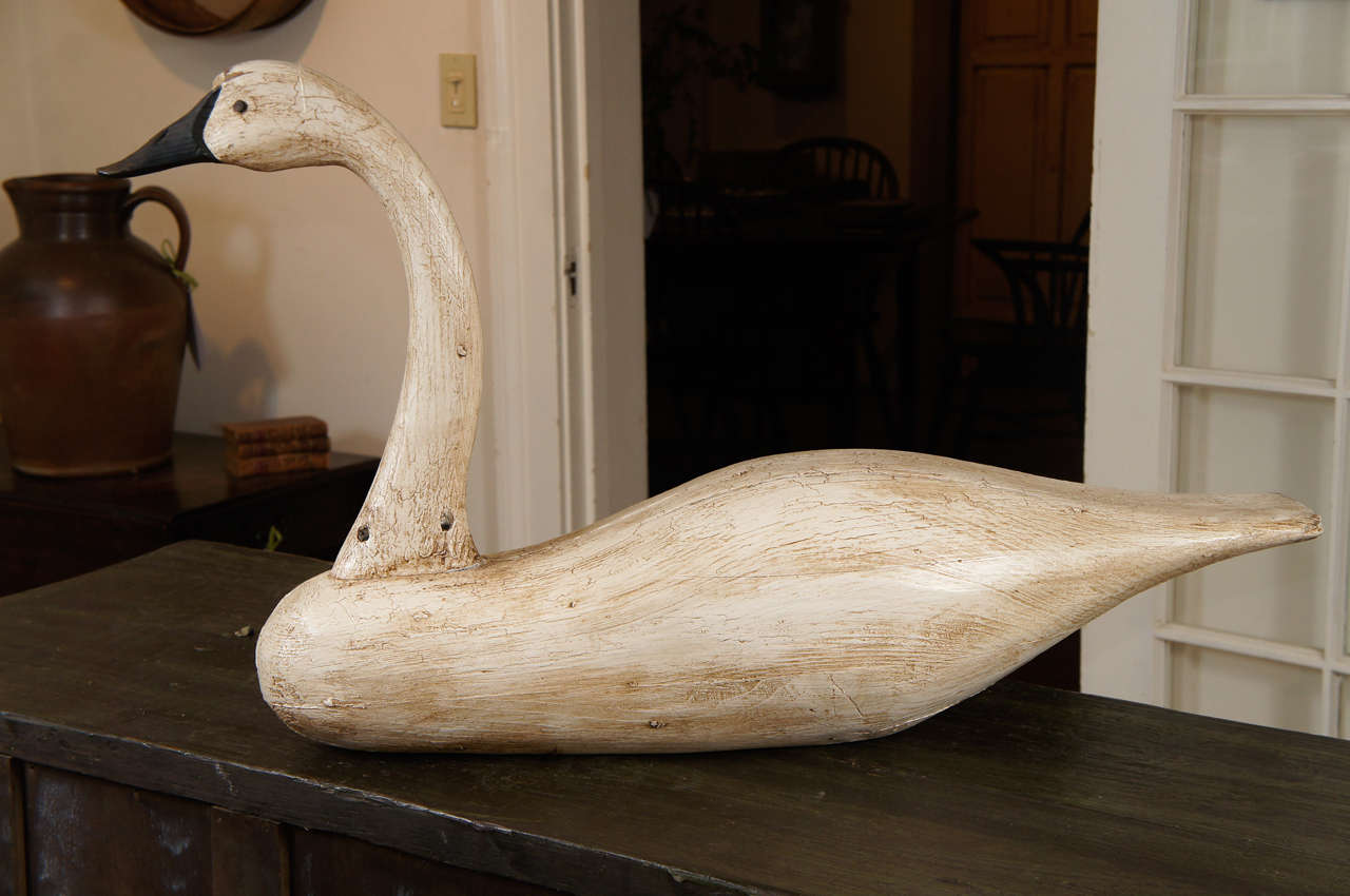 Reproduction Very large and graceful, this terrific wood carving of a Currituck swan is a wonderful piece. It is a reproduction done by a very well known carver from Virginia.