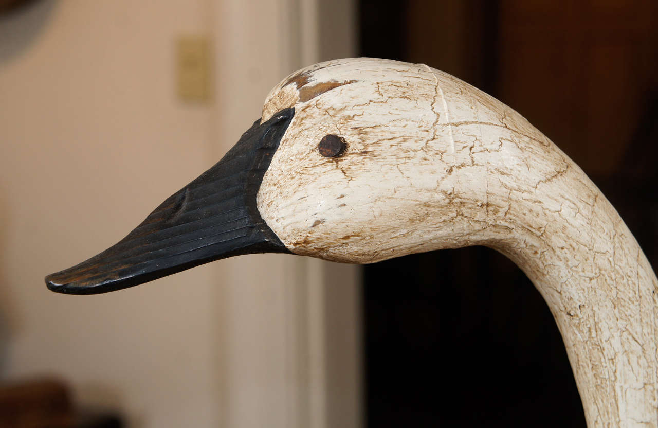 Carved Currituck Swan Wood Carving