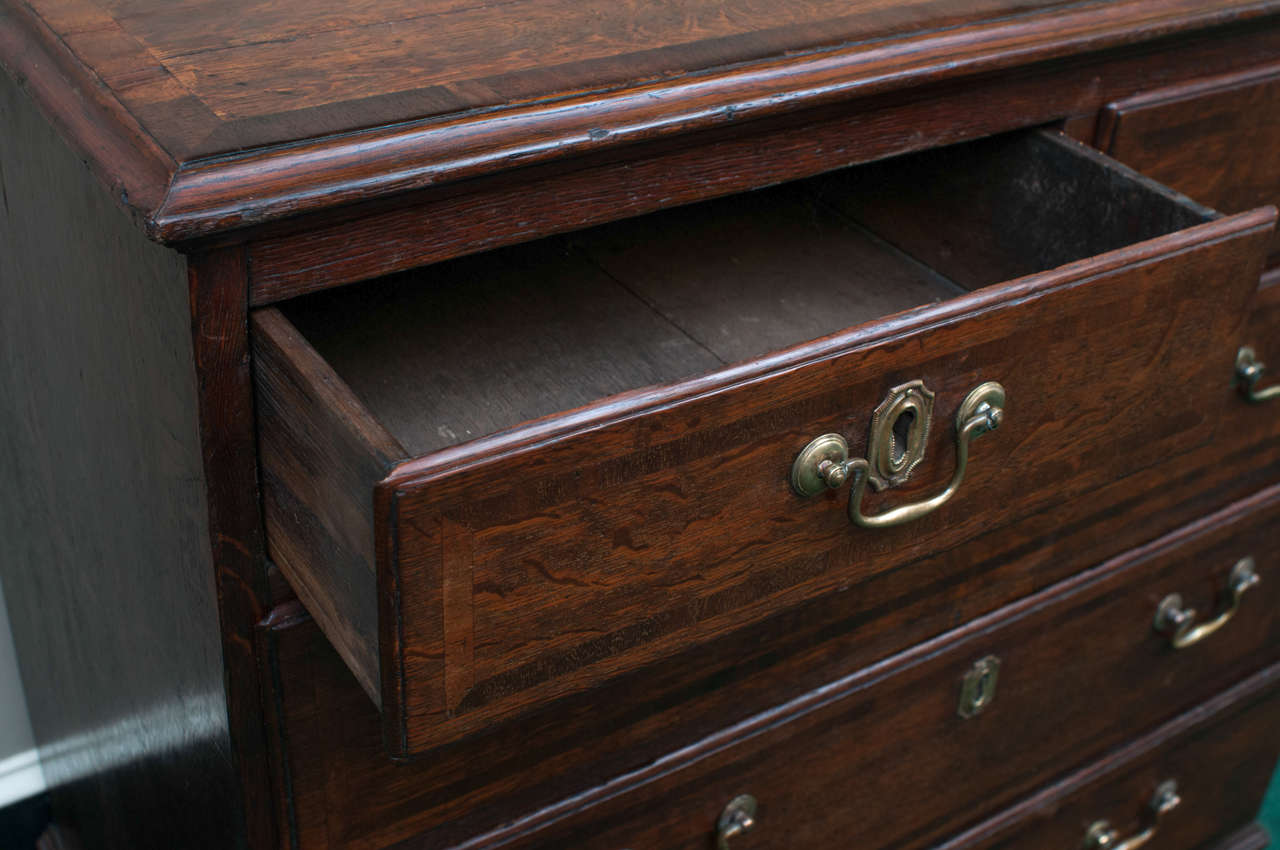 English Oak Bachelor's Chest In Excellent Condition In Alexandria, VA