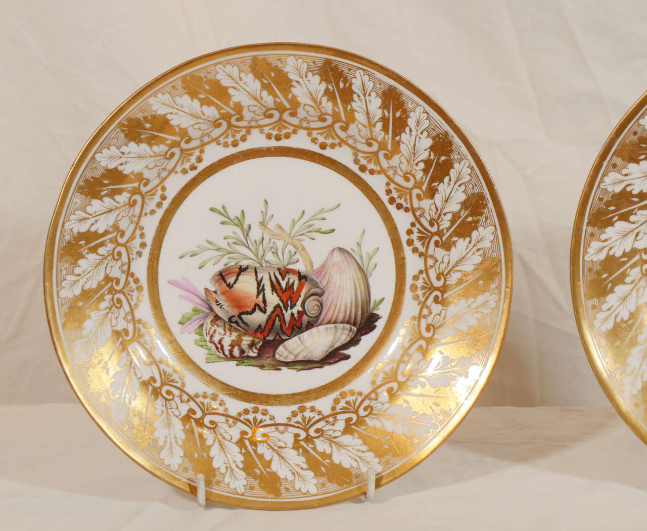 Pair of English Porcelain Dishes Painted with Shells In Excellent Condition In Katonah, NY