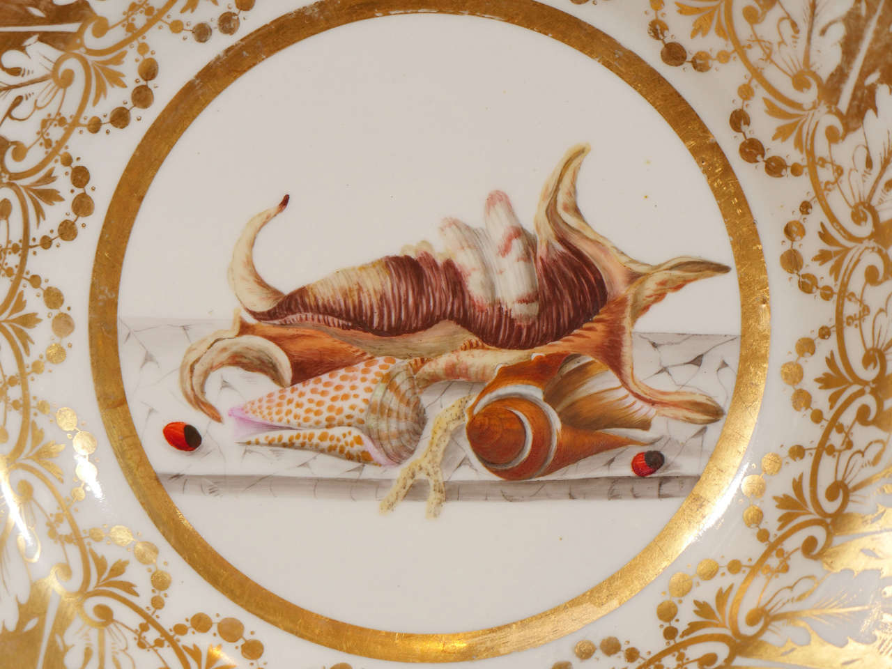 19th Century Pair of English Porcelain Dishes Painted with Shells