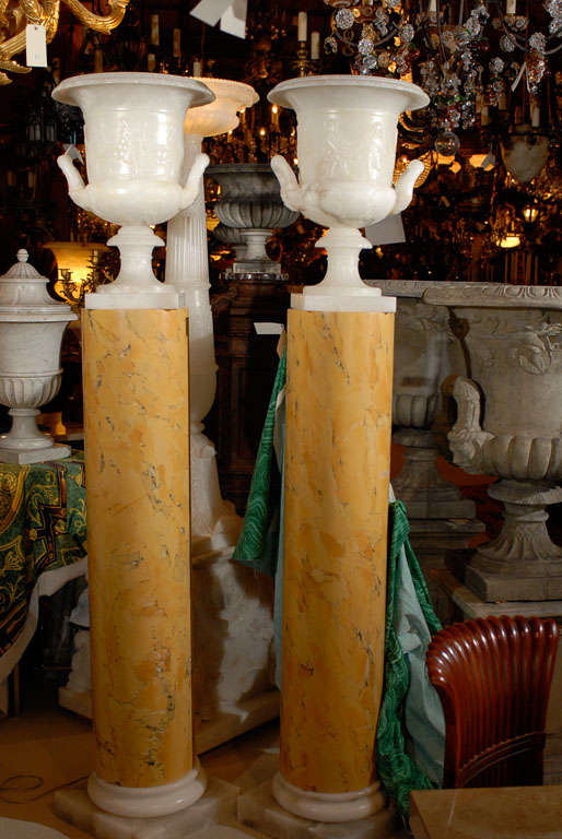 NI 407 A very fine pair of pedestals with alabaster bases ( bases 15 1/2