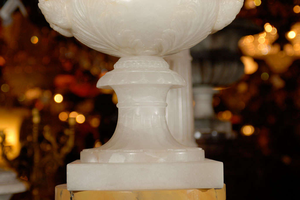 20th Century Pair of Pedestals with Urns For Sale