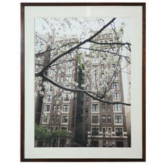 "Park Avenue in Spring" Giclee Print by Mariette Himes Gomez